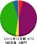 柴田電池商会 貸借対照表 2012年12月期