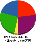 石川工業 貸借対照表 2010年5月期