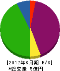 永井クレーン工業 貸借対照表 2012年6月期