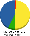 坂本産業 貸借対照表 2012年9月期