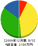 大和菊花園 貸借対照表 2009年12月期