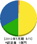 海江田電機 貸借対照表 2012年5月期