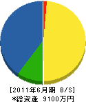 斎藤建設 貸借対照表 2011年6月期