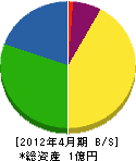 宮田電気商会 貸借対照表 2012年4月期