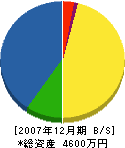 戸田建築 貸借対照表 2007年12月期