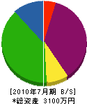 山崎土建 貸借対照表 2010年7月期