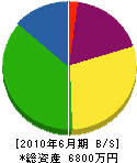 昭和塗装 貸借対照表 2010年6月期