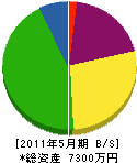 木島建設 貸借対照表 2011年5月期