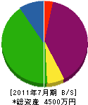 川之江クレーン 貸借対照表 2011年7月期