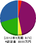 永野土木建設 貸借対照表 2012年9月期