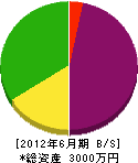 石川組 貸借対照表 2012年6月期