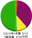 三澤組 貸借対照表 2013年3月期
