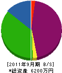 新潟ブレーン 貸借対照表 2011年9月期
