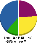 石阪産業 貸借対照表 2009年5月期