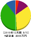 岡澤電気商会 貸借対照表 2010年12月期