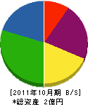 ハウジング神田 貸借対照表 2011年10月期