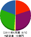 大濱組 貸借対照表 2011年6月期