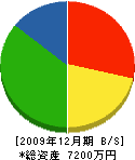 太田組 貸借対照表 2009年12月期