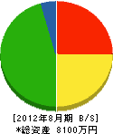 竹澤工務店 貸借対照表 2012年8月期