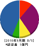 藤生建設 貸借対照表 2010年9月期