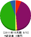 タシロ建設 貸借対照表 2011年10月期