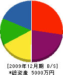 木村植物園 貸借対照表 2009年12月期