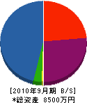 金子設備工業所 貸借対照表 2010年9月期