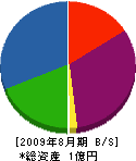 中井進建設 貸借対照表 2009年8月期
