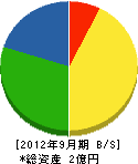 矢野電気工事 貸借対照表 2012年9月期
