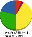 丸三 貸借対照表 2012年9月期