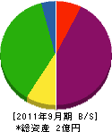 川根産業 貸借対照表 2011年9月期