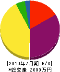 斉藤工務店 貸借対照表 2010年7月期