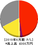 松本電工 損益計算書 2010年6月期