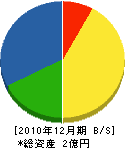 桐田組 貸借対照表 2010年12月期