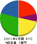 田上総業 貸借対照表 2011年6月期