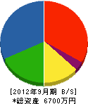 松本電化設備 貸借対照表 2012年9月期