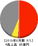 松坂屋建材 損益計算書 2010年6月期