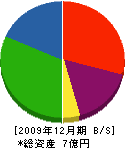 西村鉄建工業 貸借対照表 2009年12月期