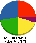 愛媛三菱農機販売 貸借対照表 2013年3月期