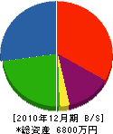 川岸組 貸借対照表 2010年12月期