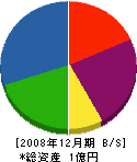 沢田工業 貸借対照表 2008年12月期