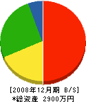 嶋田畳店 貸借対照表 2008年12月期