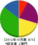 坂本工業 貸借対照表 2012年10月期