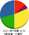 松本鉄工所 貸借対照表 2011年5月期