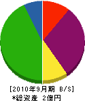 ヤマデン 貸借対照表 2010年9月期