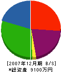 金井工務店 貸借対照表 2007年12月期