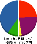 片山電気工事 貸借対照表 2011年9月期