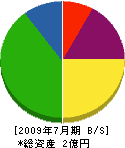 秋田ボーリング 貸借対照表 2009年7月期