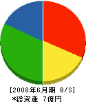 斎藤工務店 貸借対照表 2008年6月期