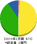熊本建設 貸借対照表 2013年2月期